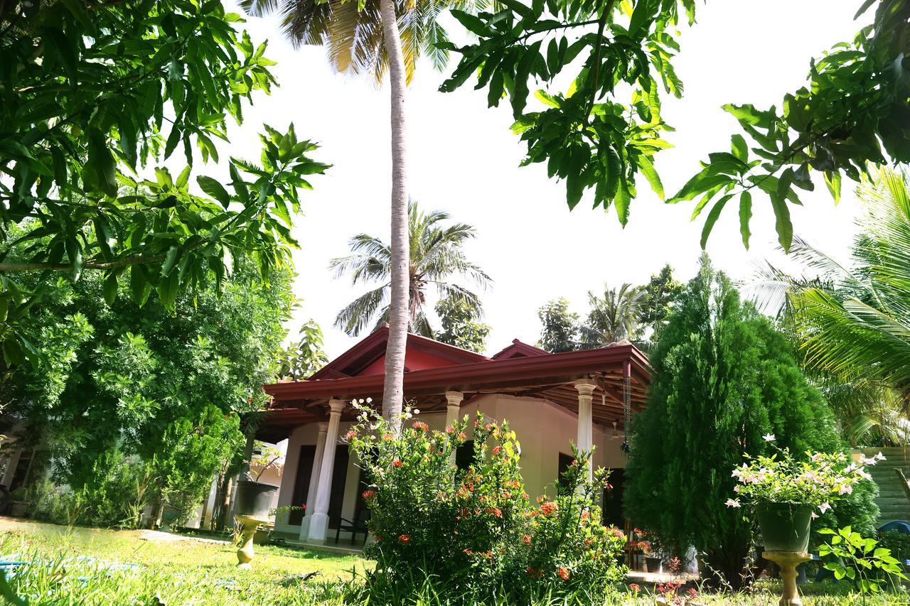 New Vilard Tissamaharama Buitenkant foto