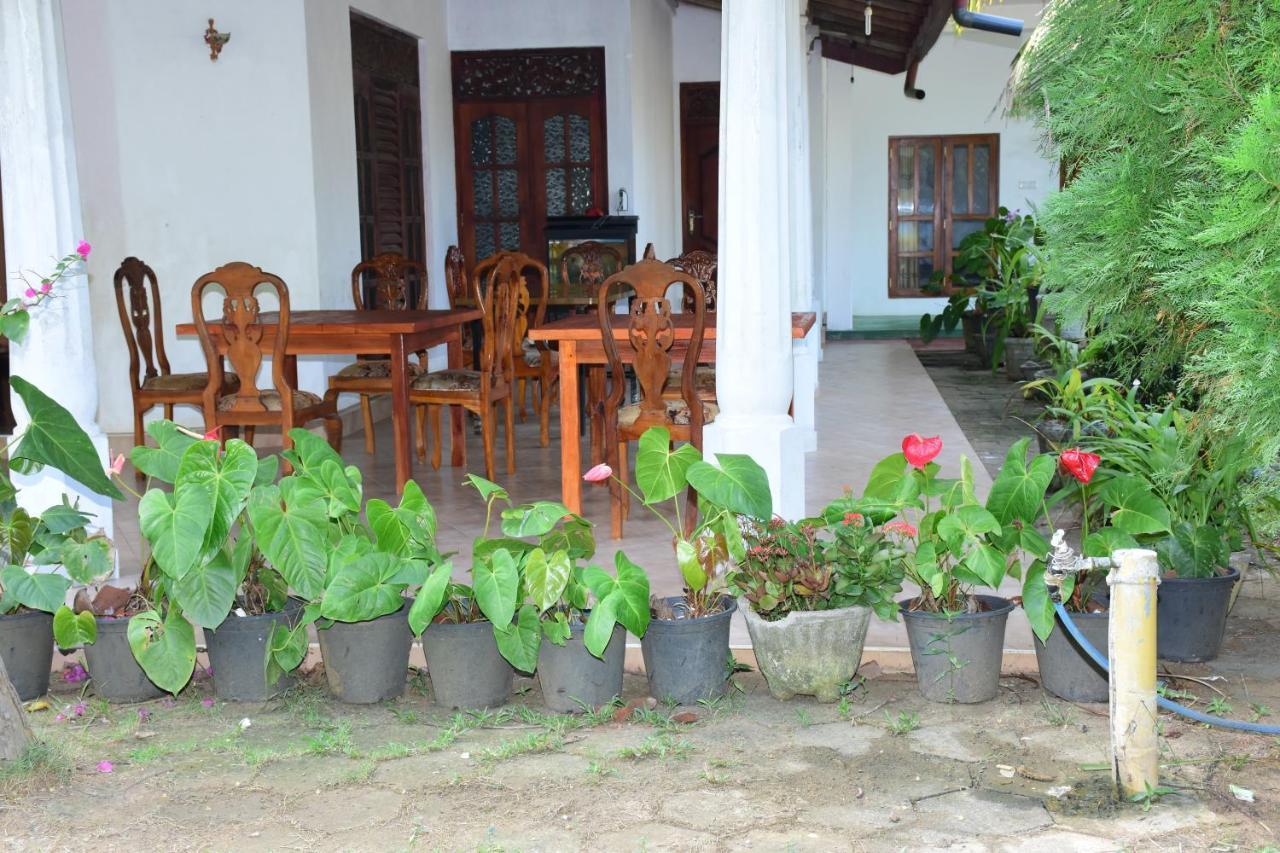 New Vilard Tissamaharama Buitenkant foto